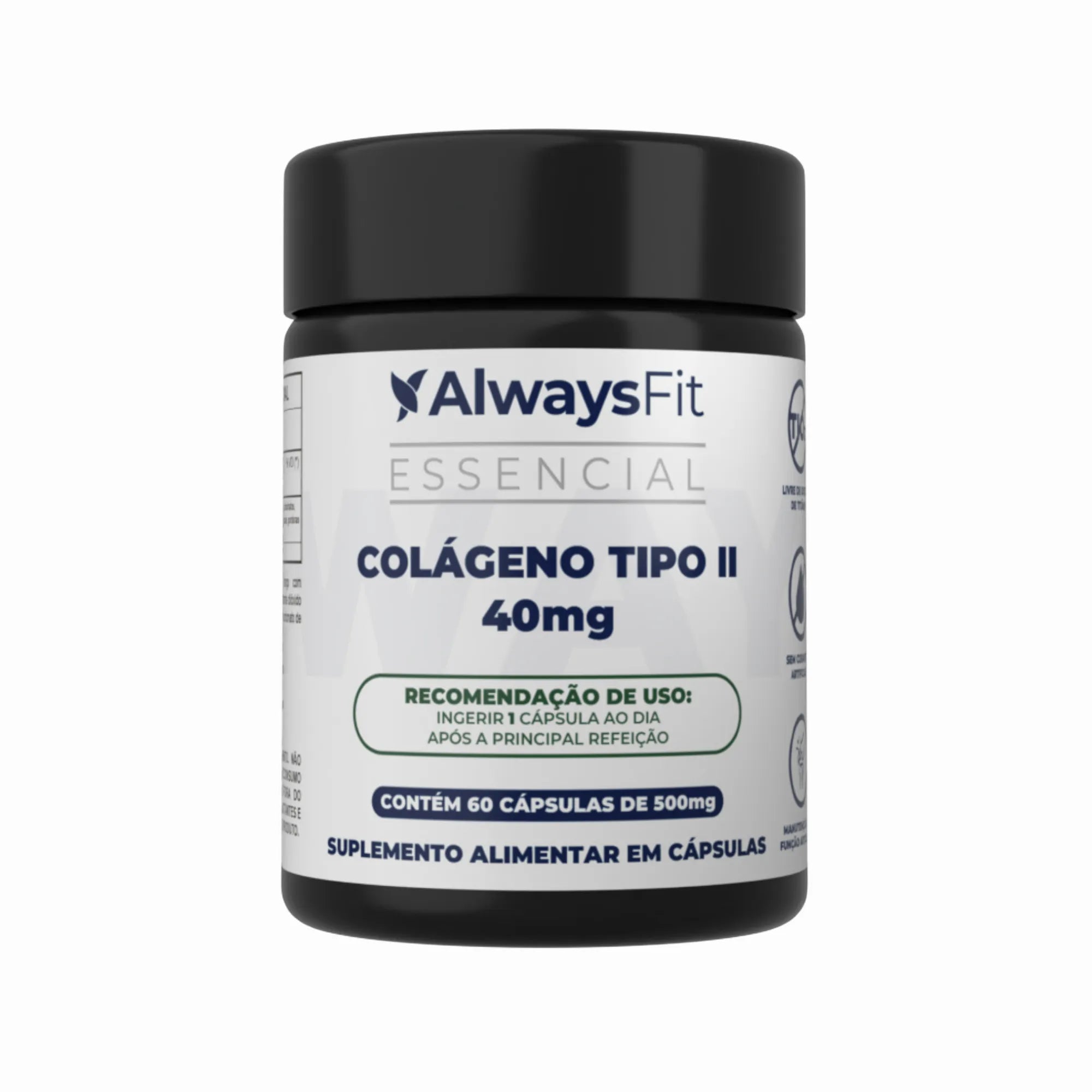 Colágeno Tipo II — Suplemento alimentar em cápsulas